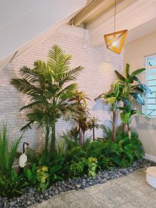 a garden in a room with palm trees and plants at FA House by the Beach in Tanjung Bungah