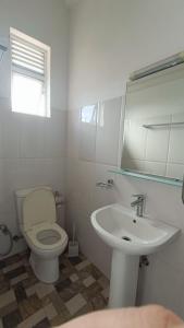a bathroom with a white toilet and a sink at Smile Hub Kandy Penthouse apartment in Kandy