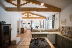 a kitchen with a stove top oven in a room at Le Mas de la Catounière in Castillon-du-Gard