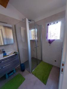 een badkamer met een douche en een wastafel bij Appartement 50m2 au cœur de sussargues in Sussargues