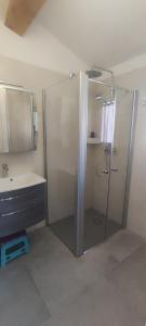 een badkamer met een douche en een wastafel bij Appartement 50m2 au cœur de sussargues in Sussargues