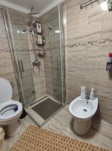 e bagno con doccia, servizi igienici e lavandino. di Casa Golub - Transylvania - Romania a Cheia