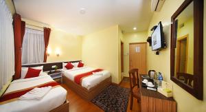 TV o dispositivi per l'intrattenimento presso Hotel Odyssey Nepal