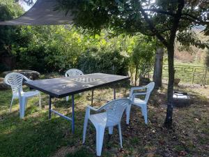 uma mesa de piquenique e quatro cadeiras debaixo de uma árvore em La Casa del Mugnaio em Rotonda