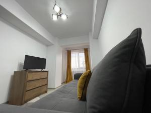 a living room with a couch and a television at Traveler’s Home in Suceava