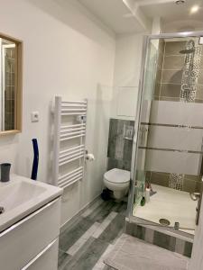a bathroom with a shower and a toilet and a sink at Le passage de Hugues - 3 chambres - hyper centre in Troyes