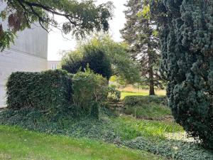 a group of bushes and trees in a yard at GÎTES Maisons de Champagnes in Reims