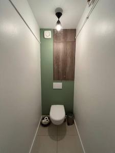 a bathroom with a white toilet in a green wall at GÎTES Maisons de Champagnes in Reims +6 photos
