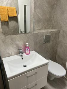 ガラツィにあるDanube Apartmentのバスルーム(洗面台、鏡、トイレ付)