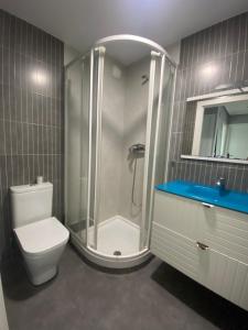 La salle de bains est pourvue d'une douche, de toilettes et d'un lavabo. dans l'établissement Casa cerca de la playa, à Urduliz