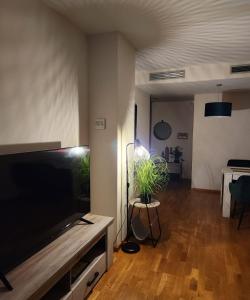 TV/Unterhaltungsangebot in der Unterkunft Apartamento Bulevar 1 con parking gratuito