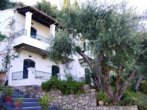 una casa blanca con un árbol delante en Natasa and Spiros, en Paleokastritsa