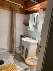 Koupelna v ubytování Cozy Zweeds huis met openhaard en grote tuin
