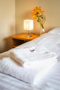 Letto o letti in una camera di Hótel Laugar