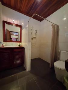 uma casa de banho com um lavatório, um WC e um espelho. em somvang khily guesthouse 宋旺吉利 酒店 em Luang Prabang