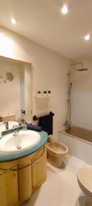 ein Badezimmer mit Waschbecken, Toilette und Spiegel in der Unterkunft Mirador de Bergosa VU-HUESCA-20-111 in Castiello de Jaca