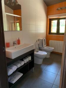 a bathroom with a sink and a toilet and a mirror at Apartamentos Los Tojos in Colsa