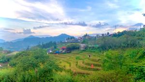 a field on a hill with mountains in the background at Pea homestay in Sa Pa