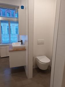 een badkamer met een toilet, een wastafel en een raam bij Rockys Ferienwohnung Mitte in Markkleeberg