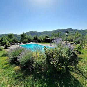 una piscina en medio de un campo en Borgo il cantuccio - Casa Simona con piscina condivisa, en Molino di Renzetti