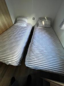 zwei Betten nebeneinander in einem Zimmer in der Unterkunft Chez Vane et JP in Lège-Cap-Ferret