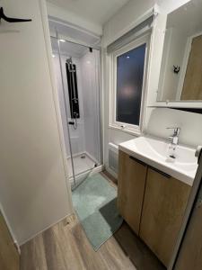 ein Badezimmer mit Waschbecken und Dusche in der Unterkunft Chez Vane et JP in Lège-Cap-Ferret