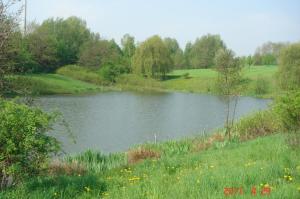 a pond in the middle of a field with flowers at Zur Linde in Ostrau