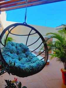 a basket swing hanging from a porch at Casa Brisas Arembepe - arejada e aconchegante - litoral norte da Bahia com crianca - WiFi in Arembepe