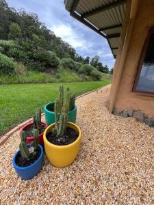 Foto sihtkohas Stewarts River asuva majutusasutuse Off Grid Cob Home galeriist