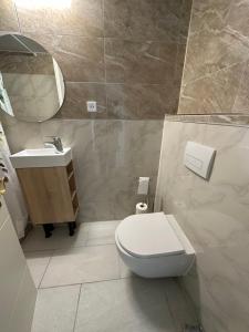 ein Badezimmer mit einem WC, einem Waschbecken und einem Spiegel in der Unterkunft Gemütliche Gäste Suite für ruhige Nächte. Zentral in Ichenhausen