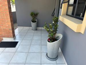 two potted plants are sitting on a tile floor at Maadima, The Yard in Edenvale