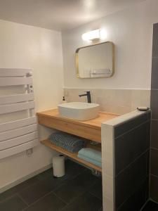 ein Badezimmer mit Waschbecken und Spiegel in der Unterkunft Gîte avec terrasse in Saint-Saturnin + 6 Fotos