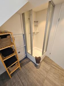 ein Bad mit einer Dusche und einer ebenerdigen Dusche in der Unterkunft Ferienwohnung Klettham in Erding