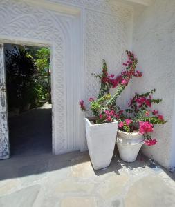 two pots of flowers on the side of a building at Lalasalama B&B in Watamu