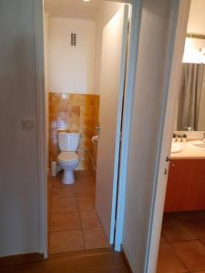 La salle de bains est pourvue de toilettes et d'un lavabo. dans l'établissement LE CENTRAL, à Montpellier