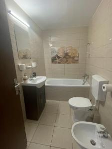 a bathroom with a sink and a toilet and a tub at Londof Villa with panoramic view in Braşov