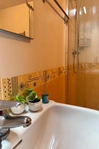 a bathroom sink with two plants on top of it at El rincón acogedor in Medina de Pomar