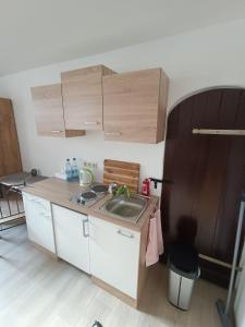 een kleine keuken met een wastafel en houten kasten bij Szafir in Schleiz