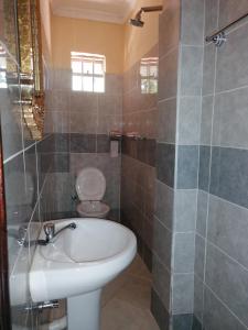 a bathroom with a sink and a toilet at Milimani Greens Inn in Kakamega