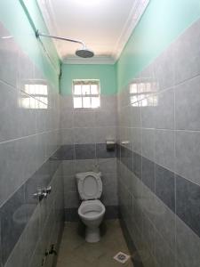 a bathroom with a toilet and a green ceiling at Milimani Greens Inn in Kakamega