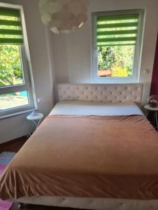 una camera da letto con un grande letto con due finestre di Top Apartment in Langenhagen ad Hannover
