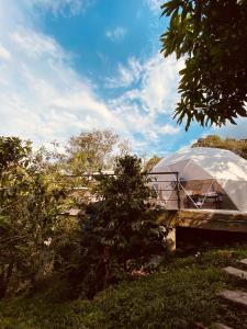 a white tent sitting on a bridge in the grass at GLAMPING EL PARAÍSO in Sasaima