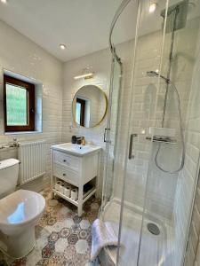 a bathroom with a shower and a toilet and a sink at Izerska Chata pokoje gościnne in Świeradów-Zdrój