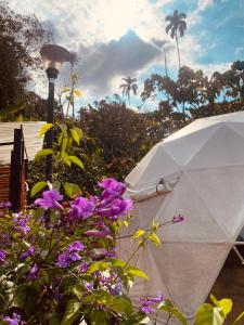 Zahrada ubytování GLAMPING EL PARAÍSO + 6 fotografií