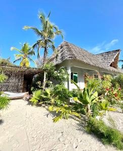 a house on the beach with palm trees and plants at Butterfly Apartment Zanzibar in Bwejuu