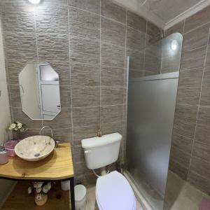 a bathroom with a toilet and a sink and a mirror at Departamento de La Nonna in Posadas