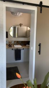 ein Bad mit einem Waschbecken und einem Spiegel in der Unterkunft bij DE RODE DEUR in Meppel