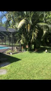 a green yard with palm trees and a swimming pool at Secluded Garden in Plantation