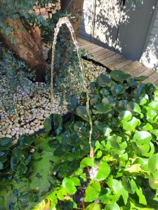 una fuente de agua en un jardín con hojas verdes en Purple Papillon, en Heuvelland
