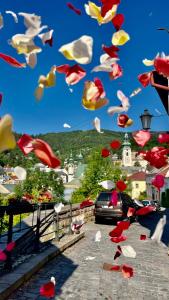 a bunch of birds are flying in the air at Apartmán Franko in Banská Štiavnica